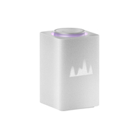 Умная колонка Яндекс Станция Макс с Zigbee (Серая)